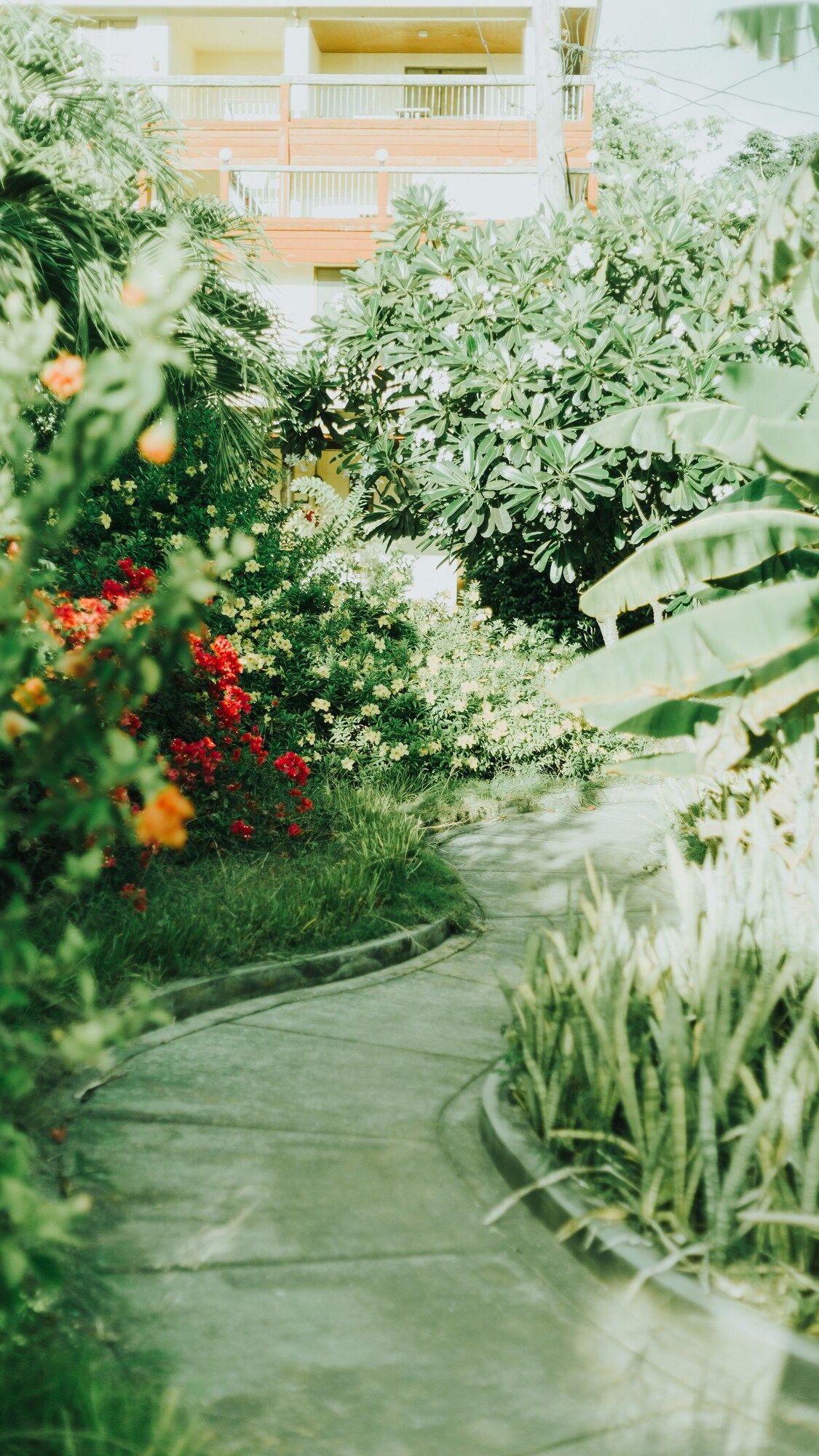 Outdoor view