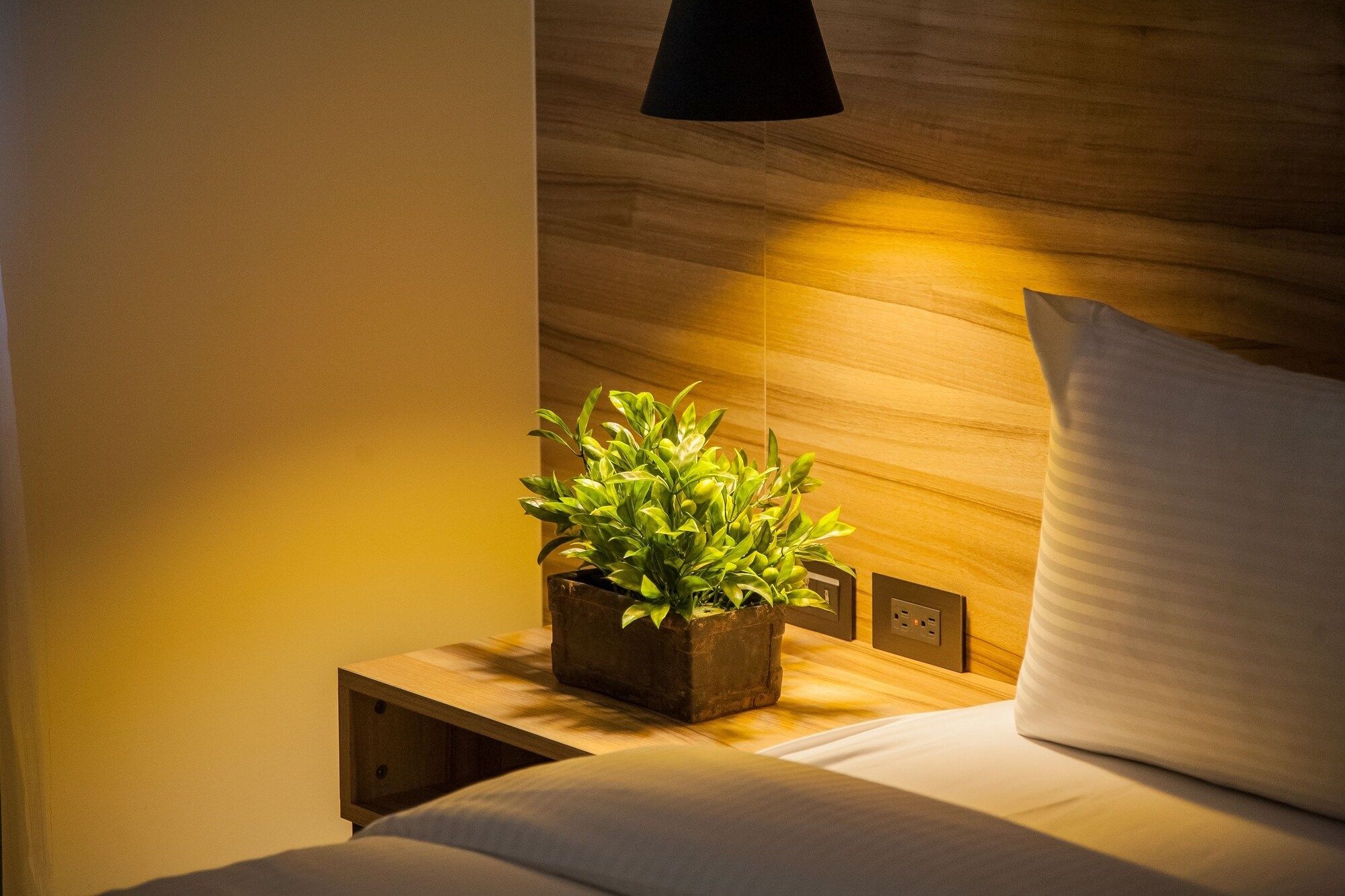 Room amenity