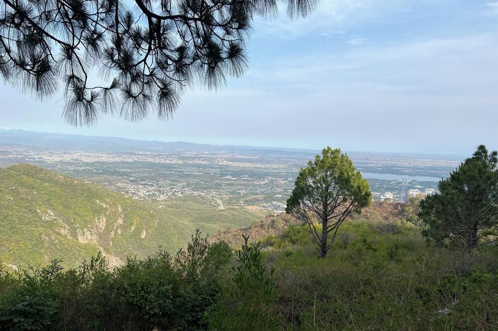 Outdoor view