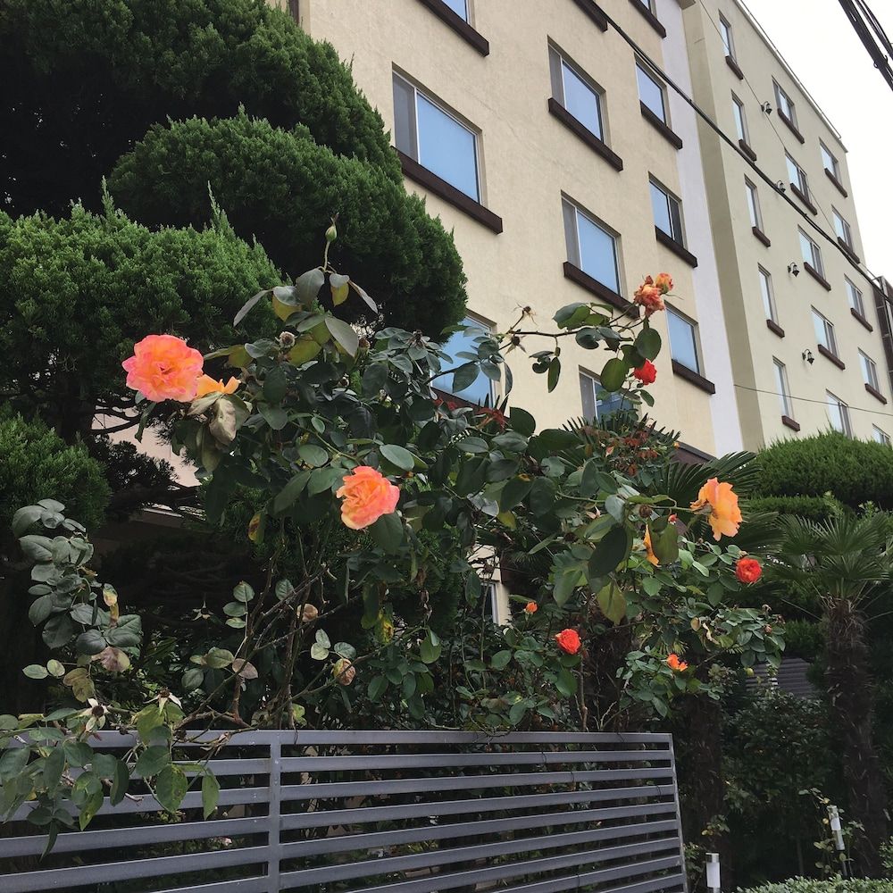 Outdoor view