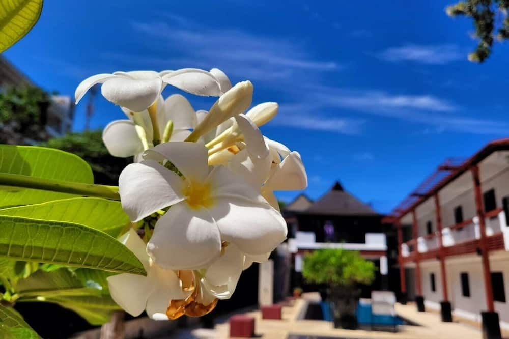 Outdoor view