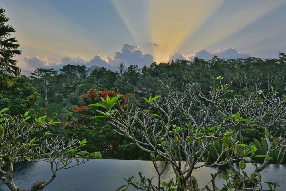 Outdoor view