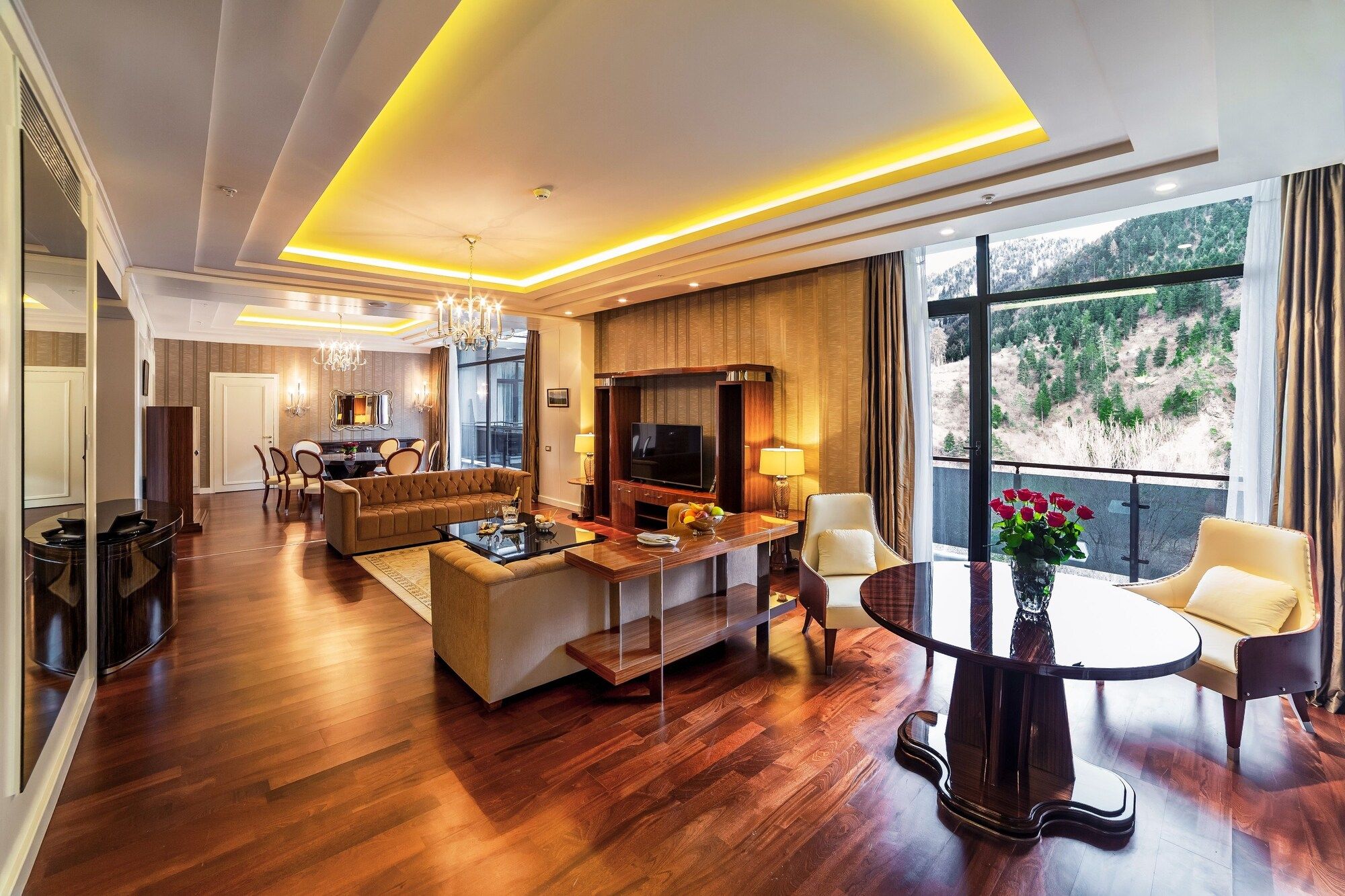 Living room Photo