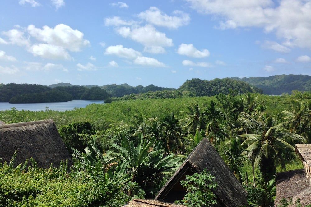 Outdoor view