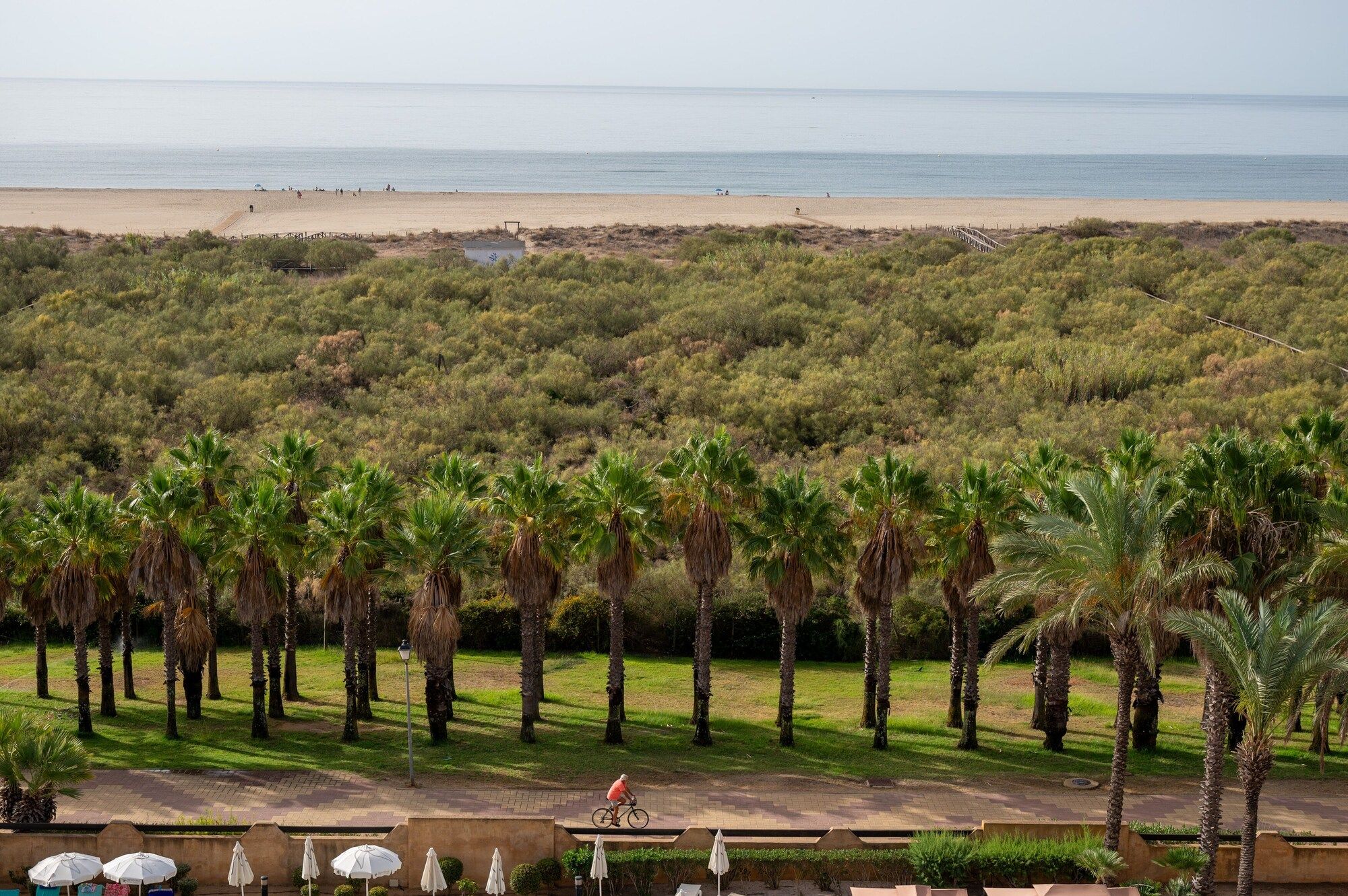 Outdoor view
