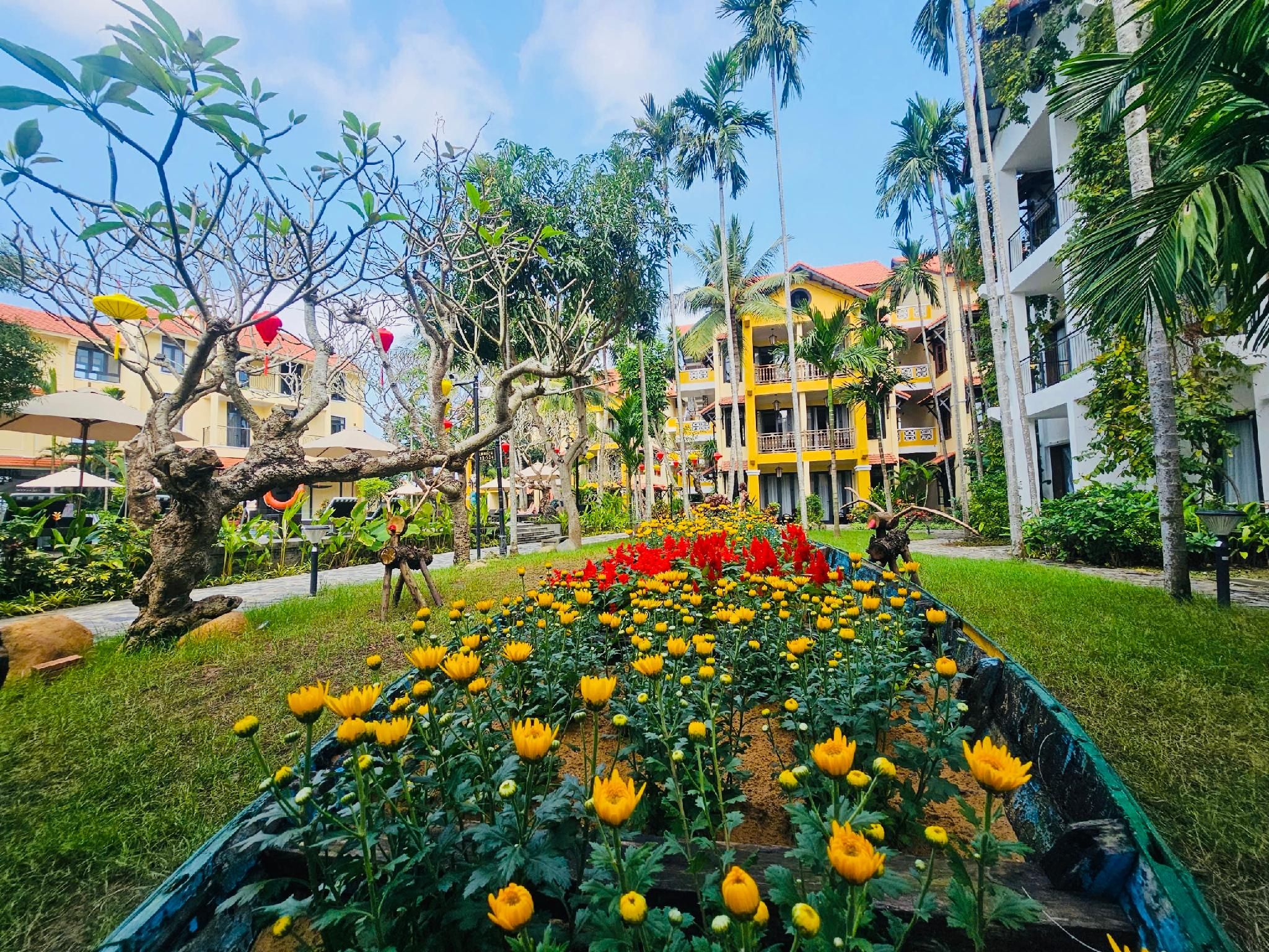 Outdoor view