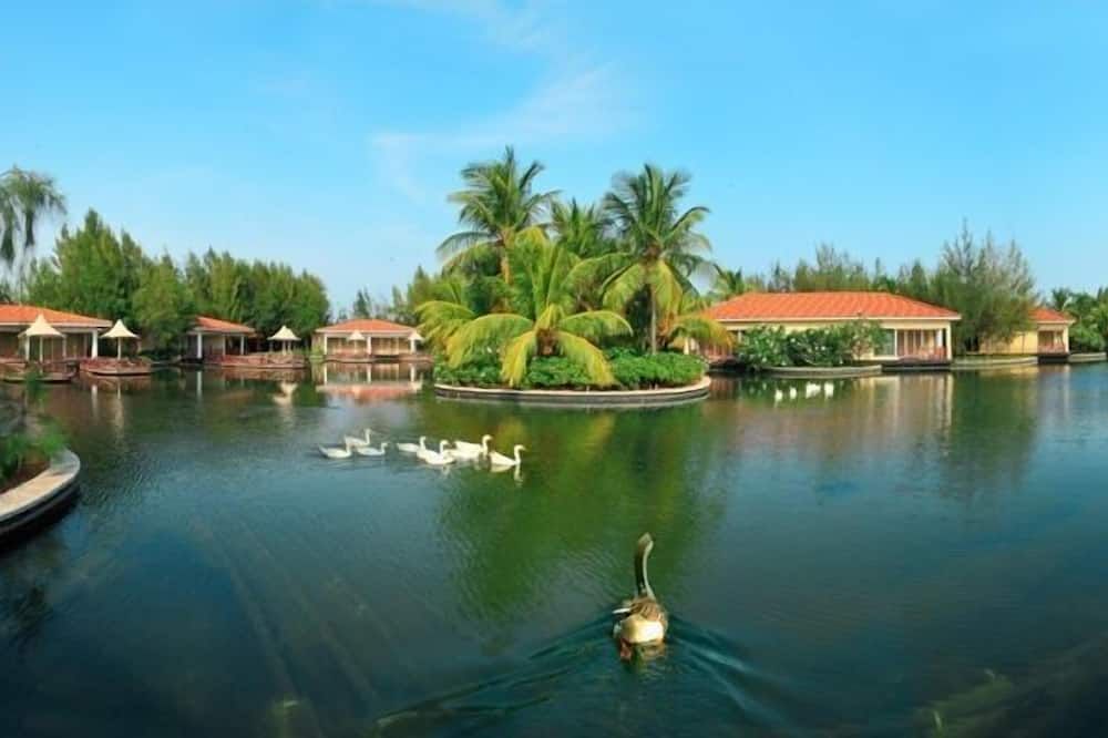 Outdoor view