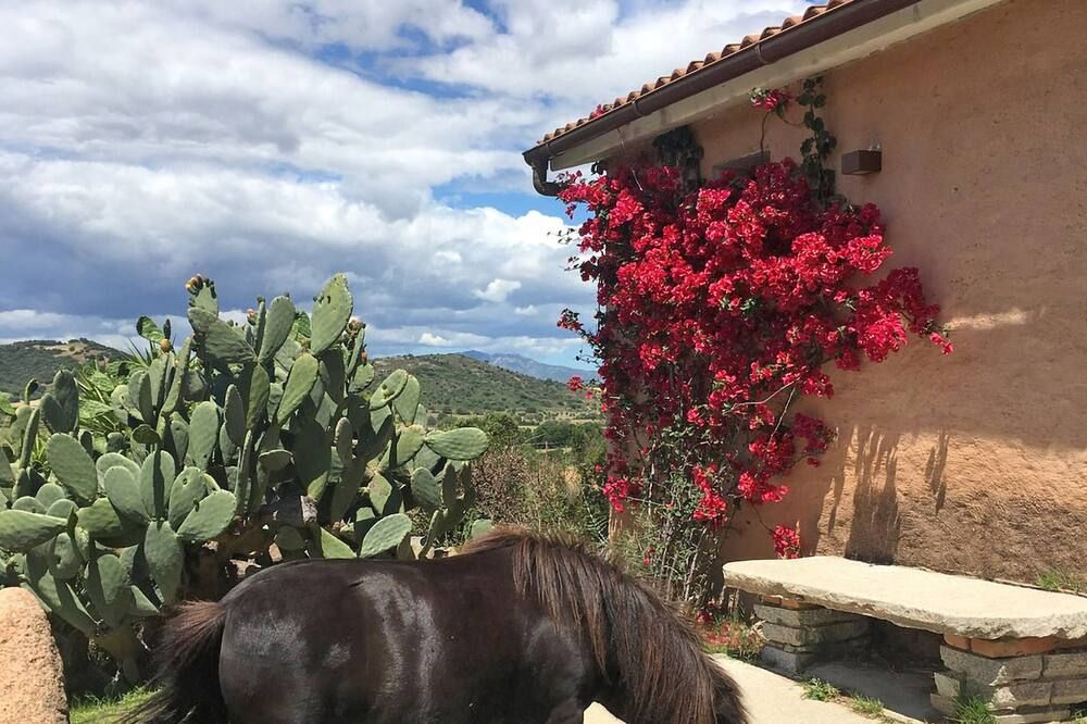 Outdoor view
