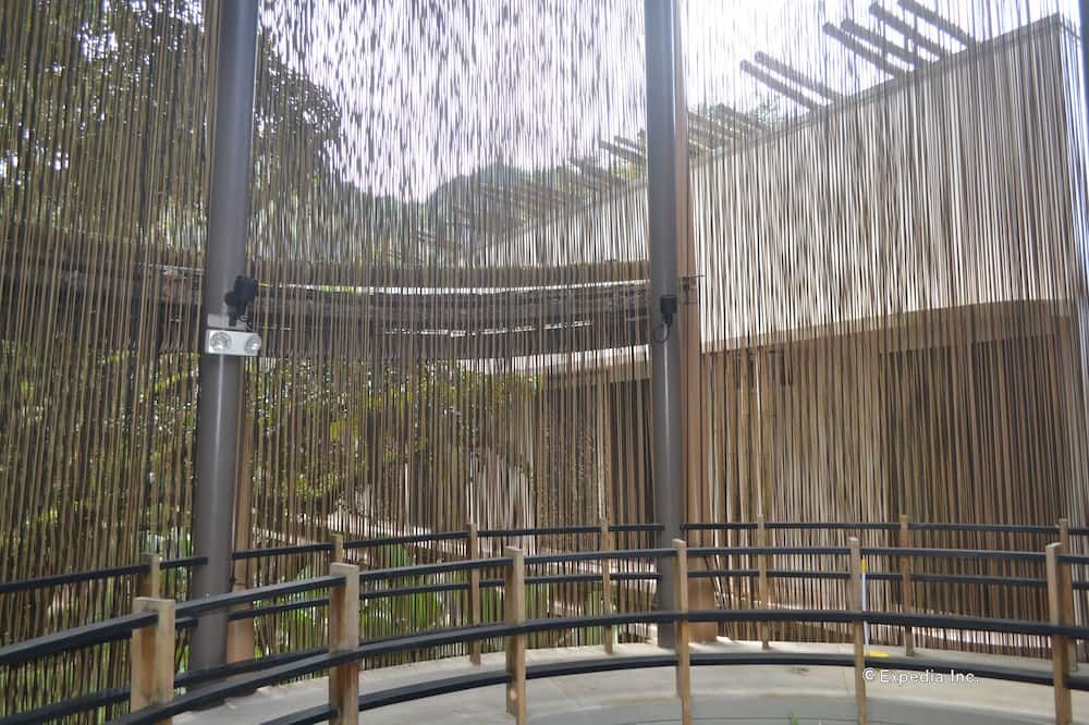 Outdoor view