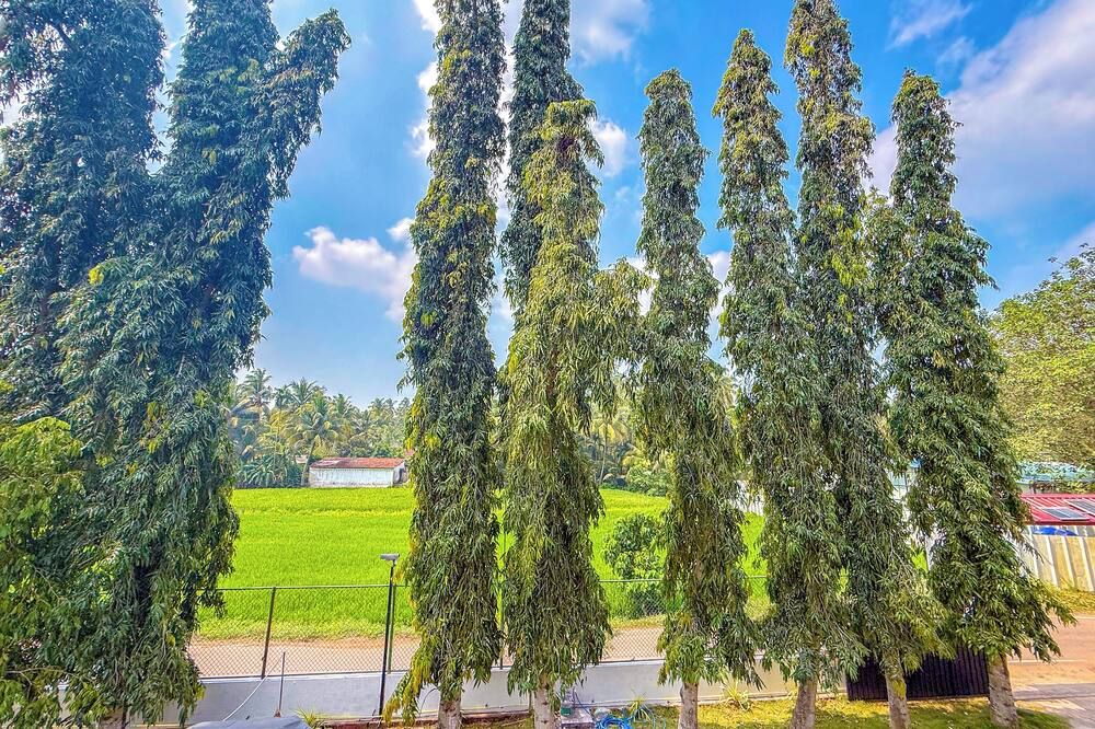 Outdoor view