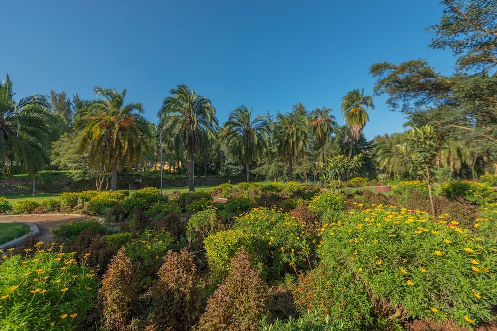 Outdoor view