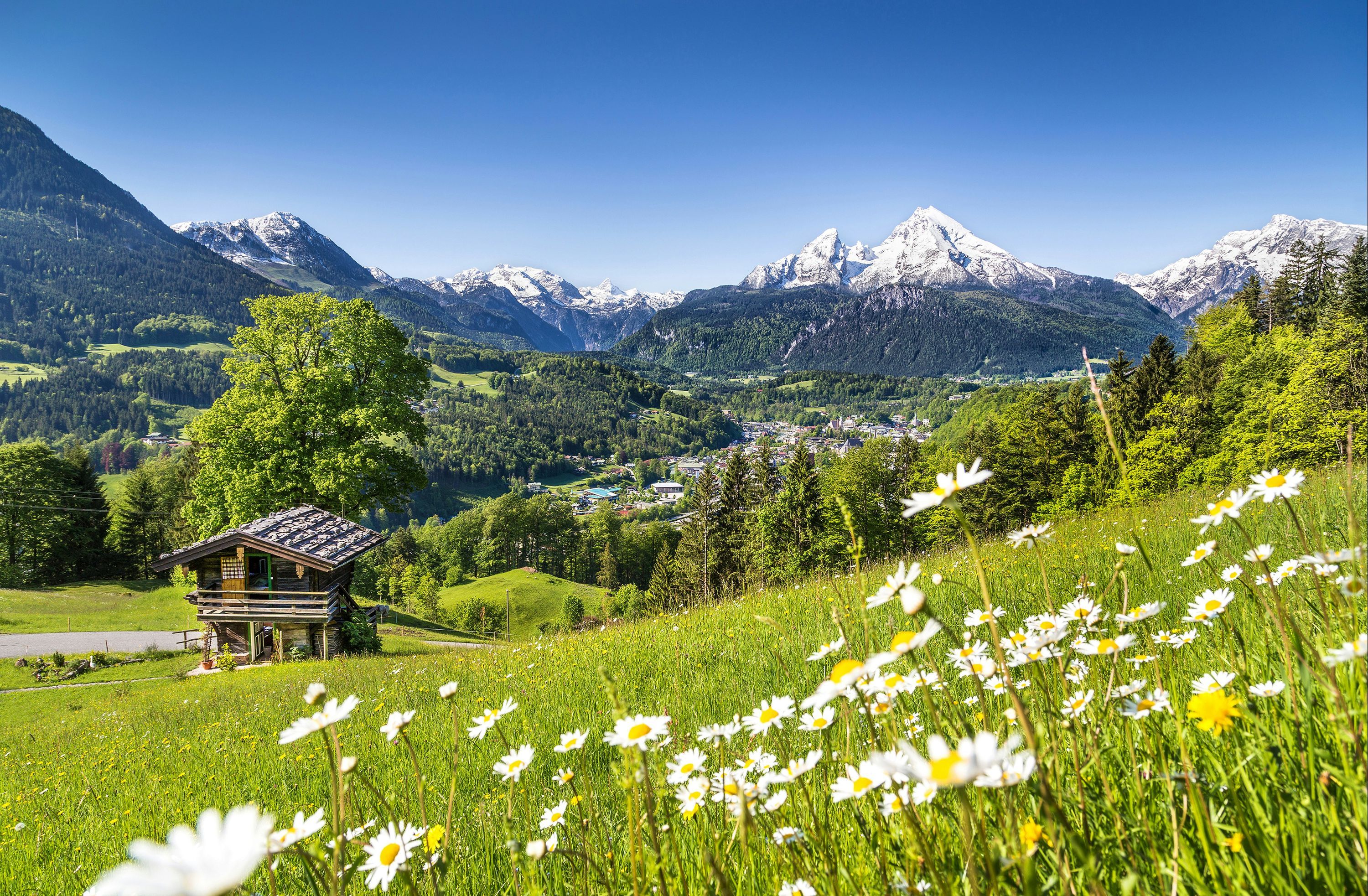 Outdoor view