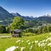 Outdoor view