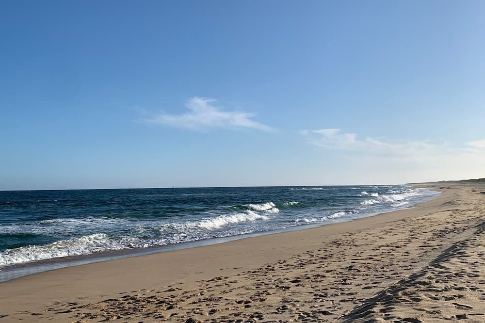 Beach Photo