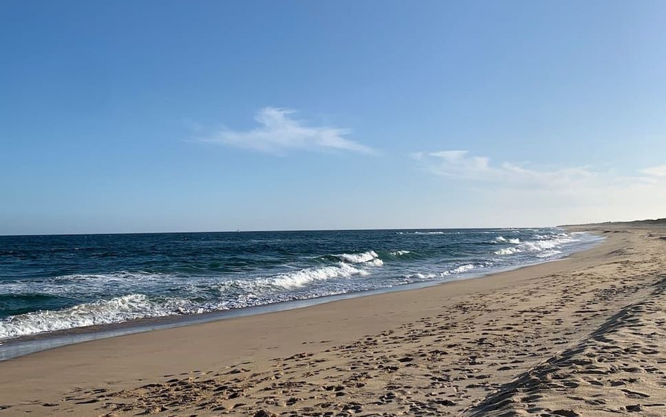 Beach Photo