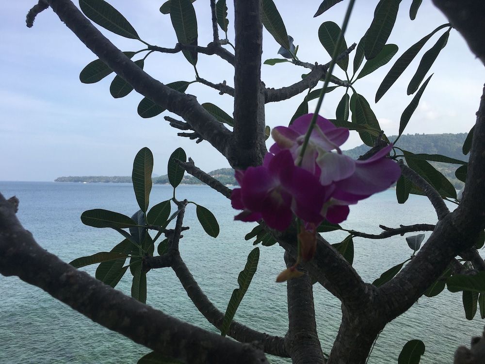 Outdoor view
