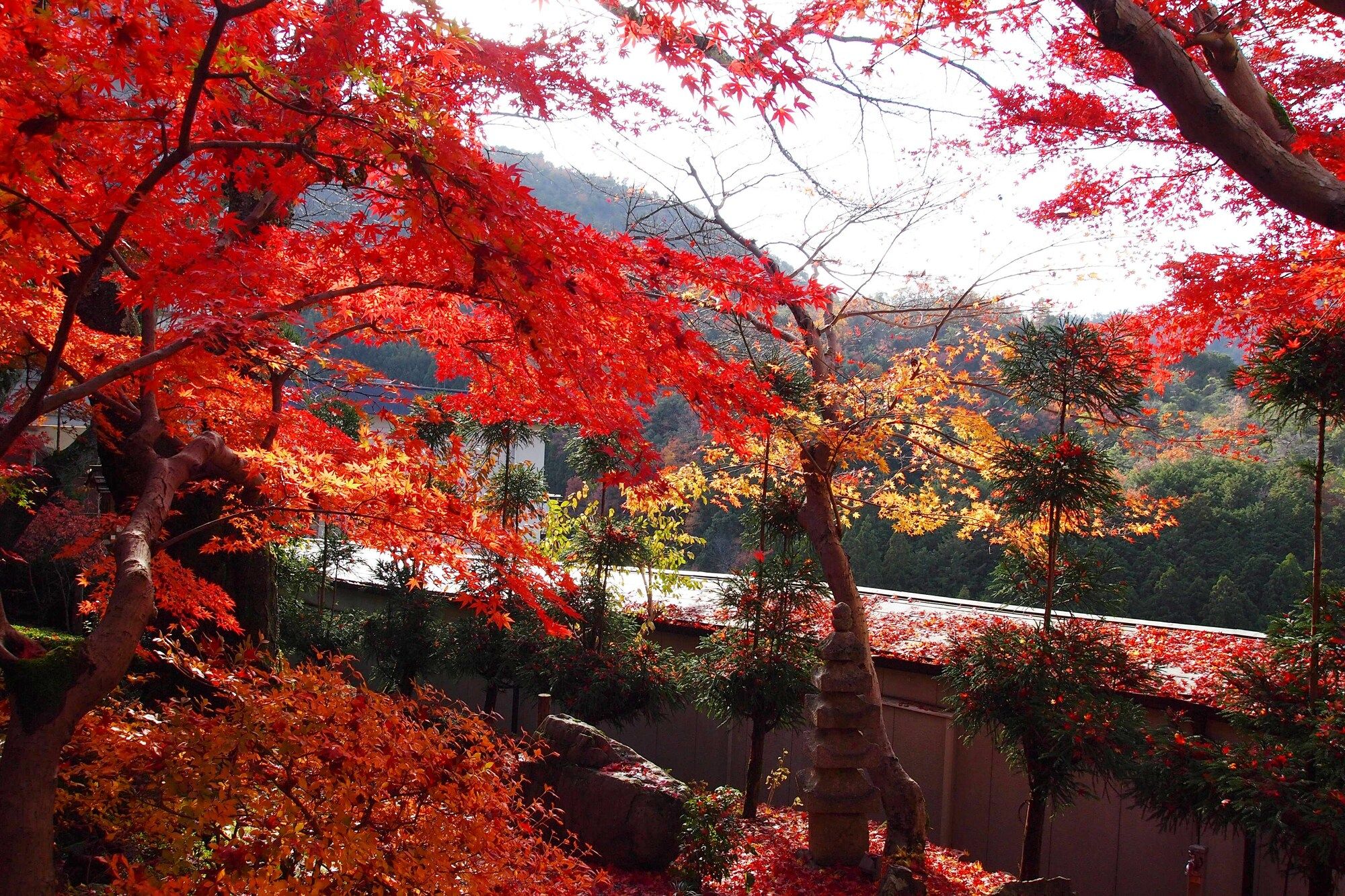 Outdoor view