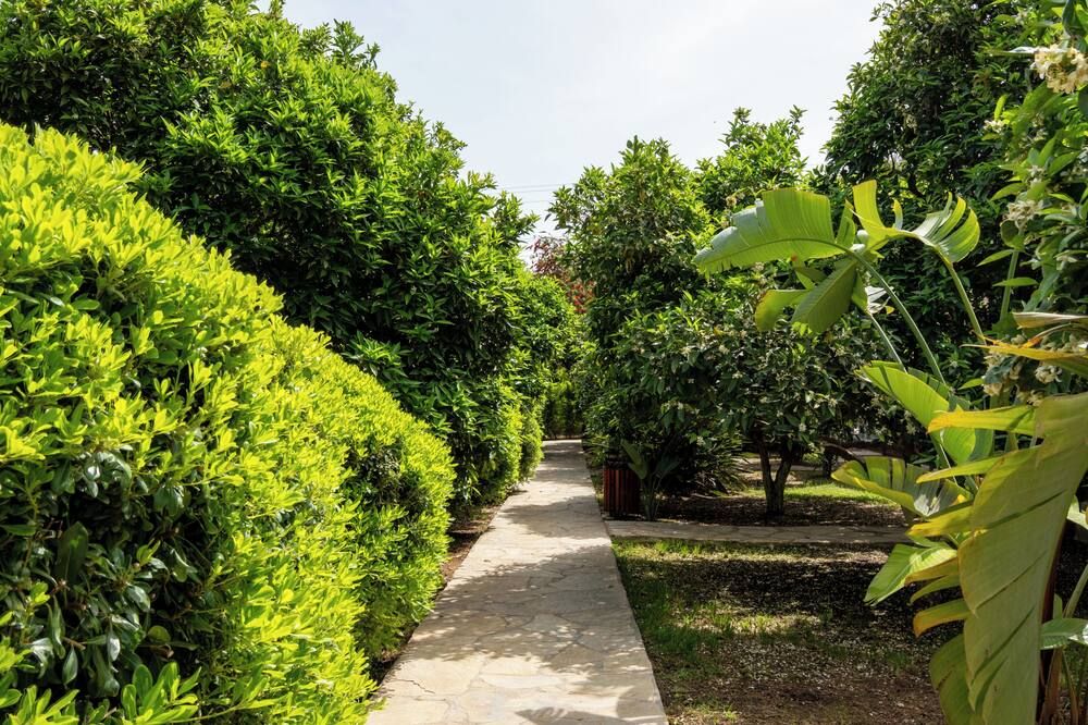 Outdoor view