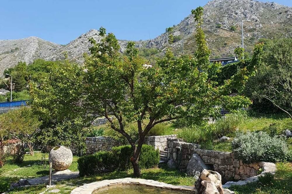 Outdoor view
