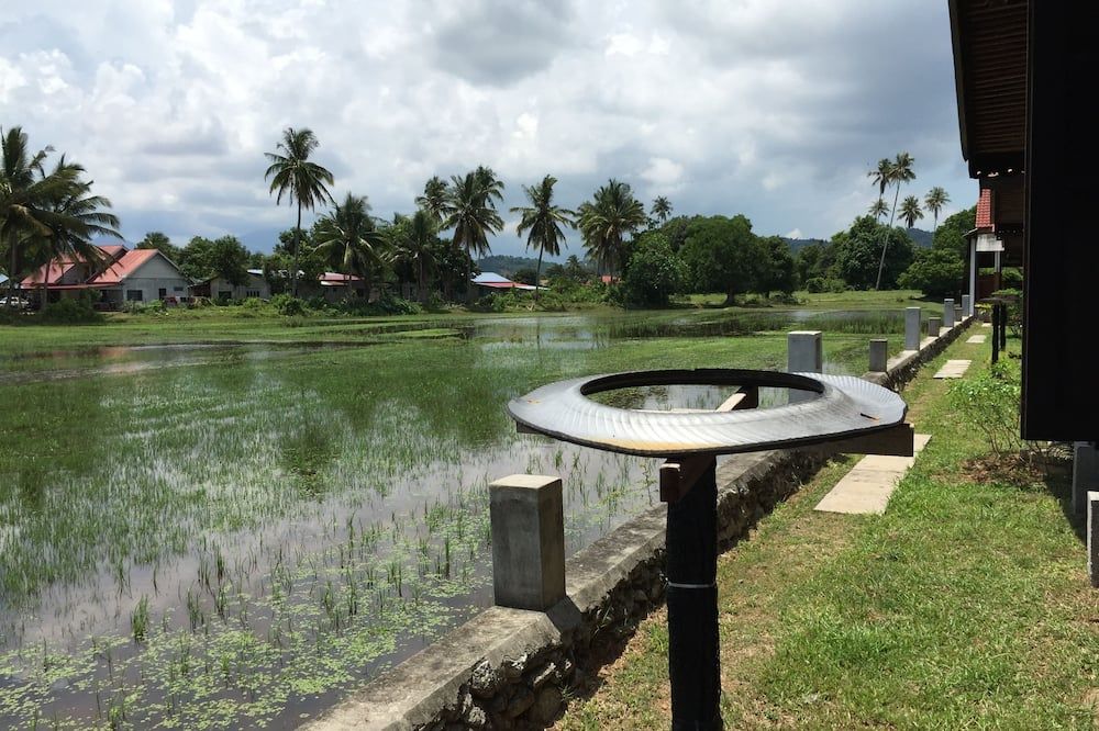 Outdoor view