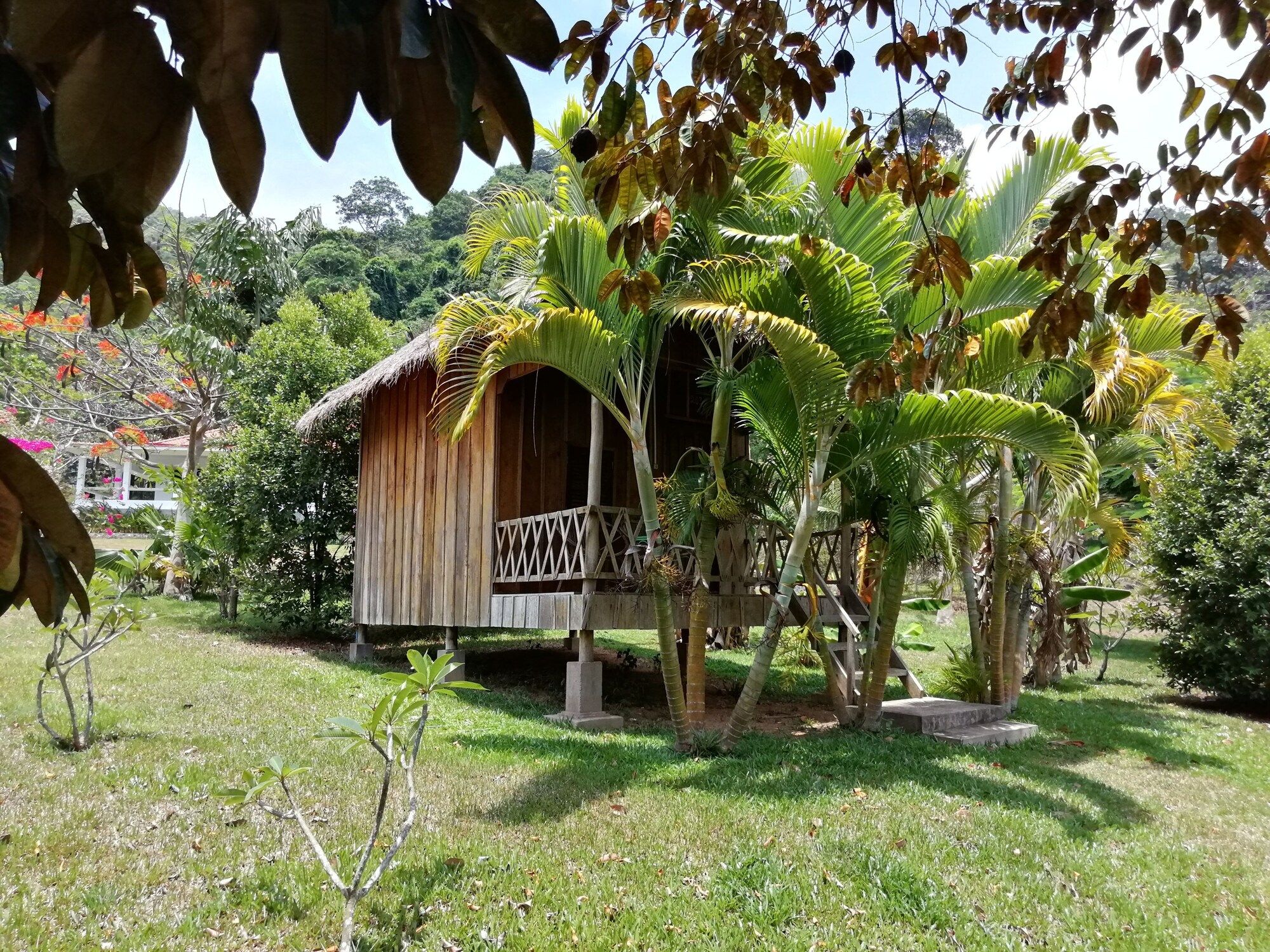 Outdoor view