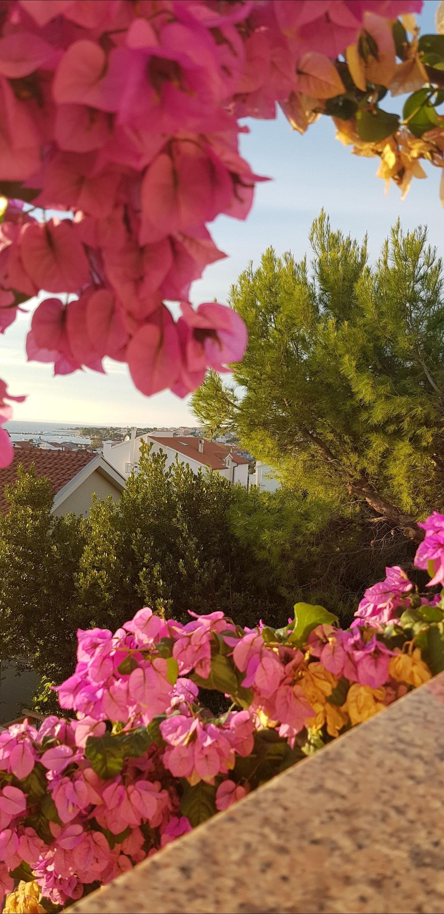 Outdoor view
