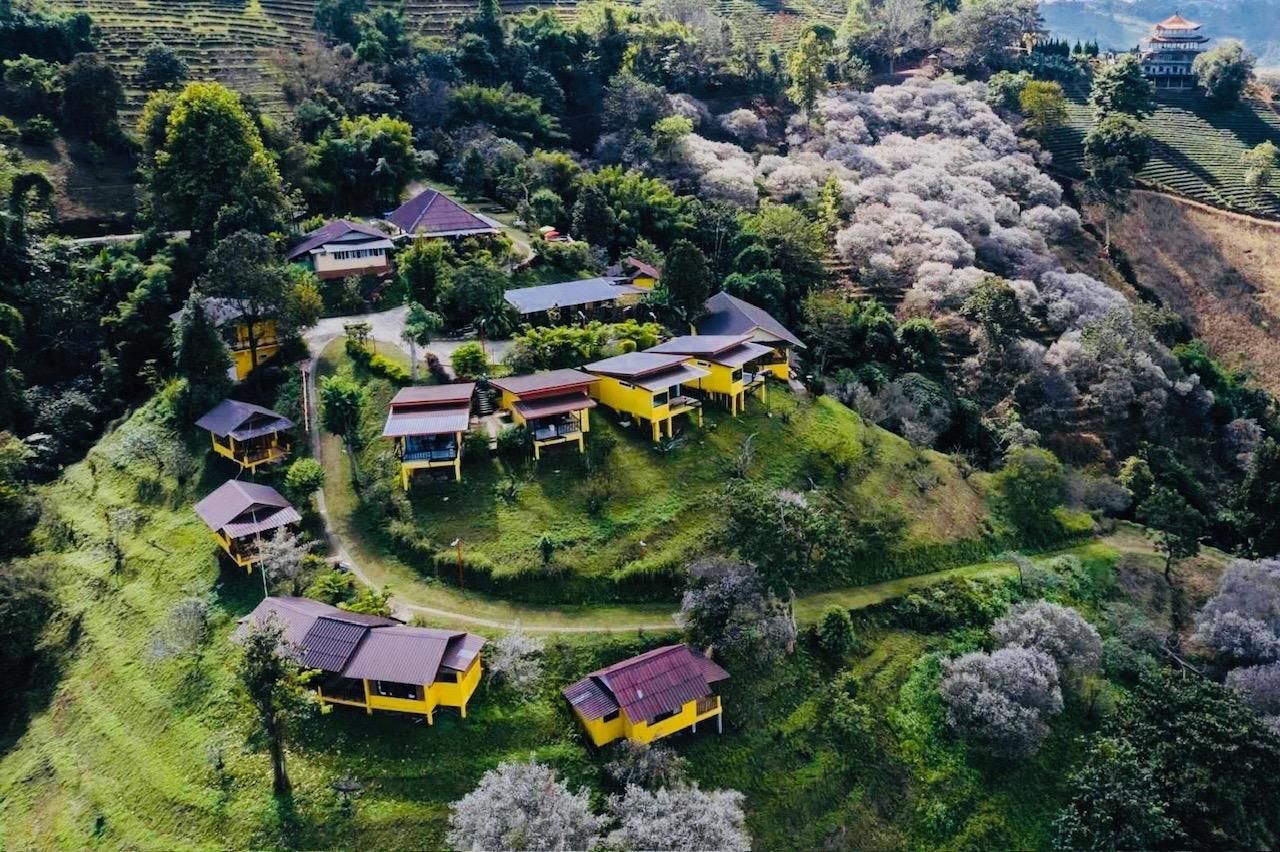 Outdoor view
