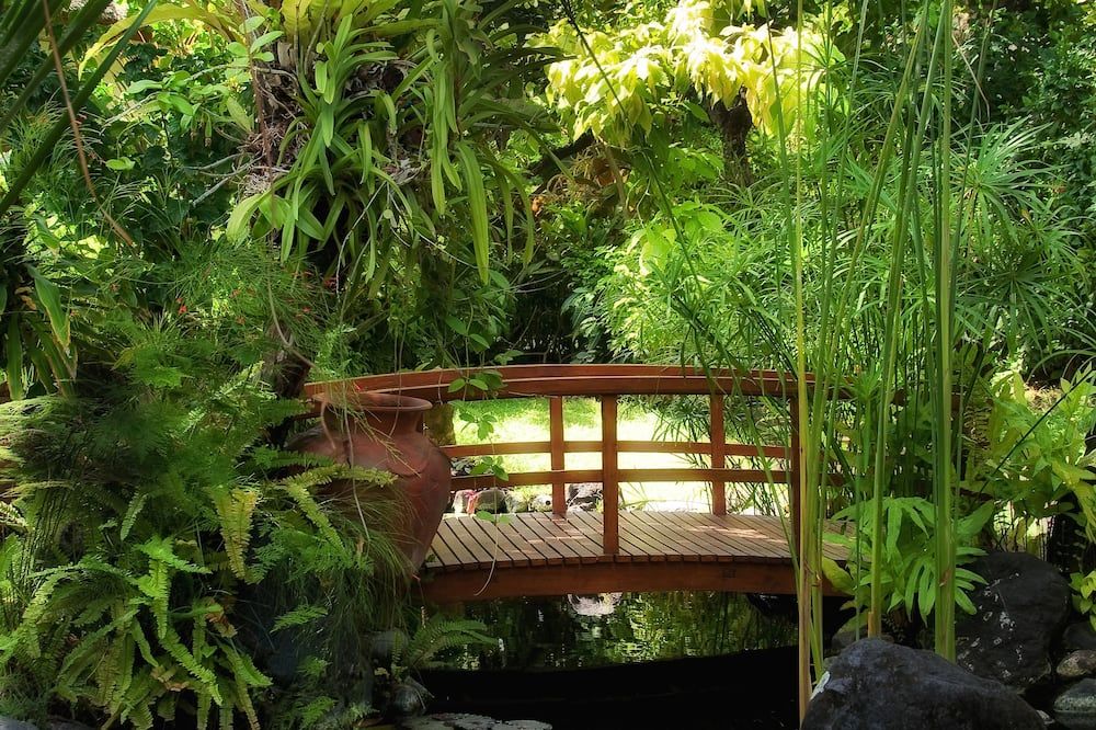 Outdoor view