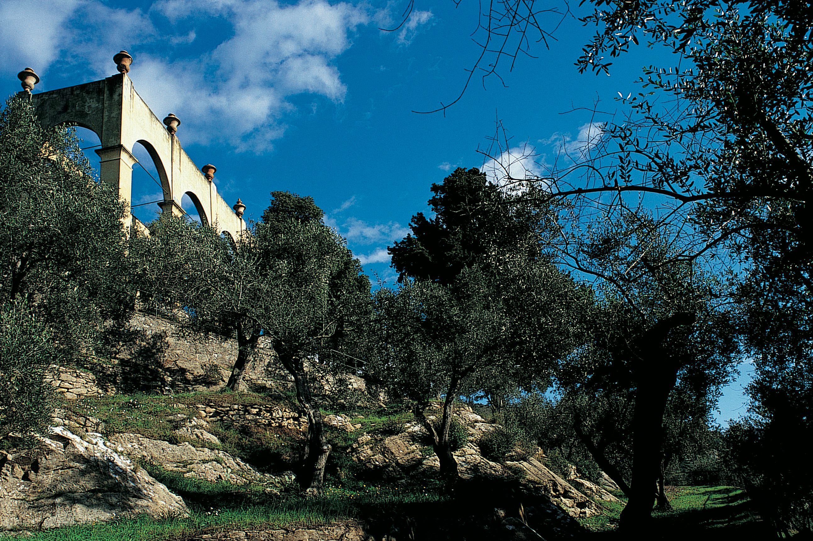 Outdoor view
