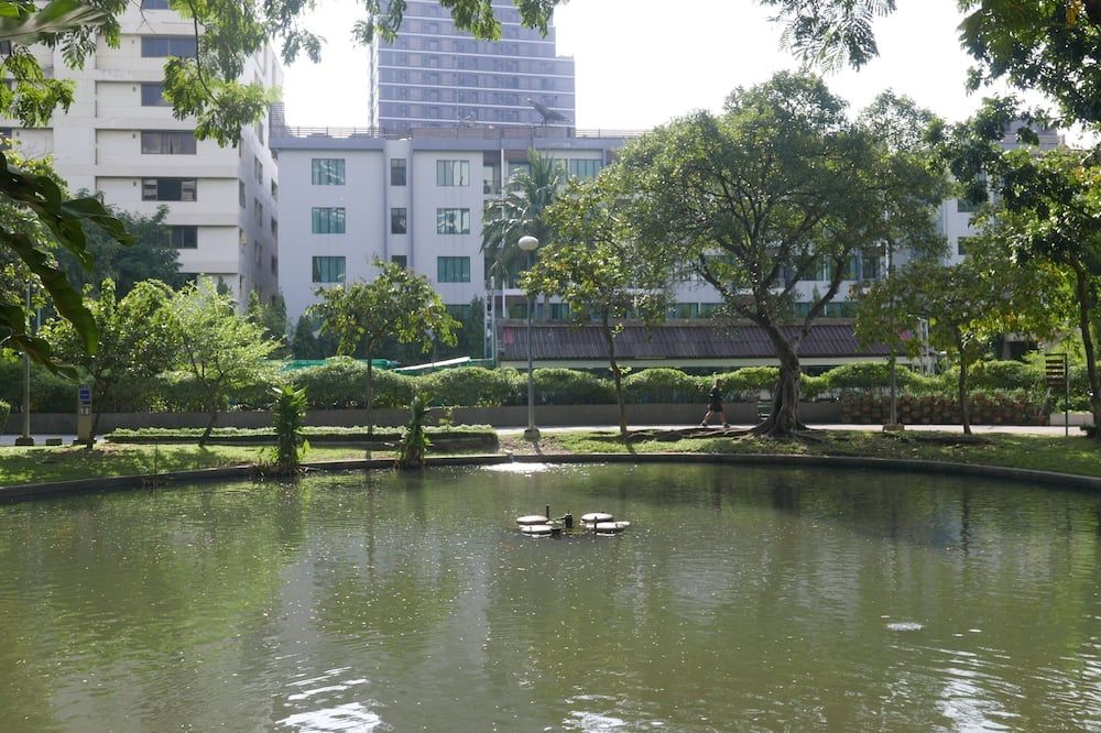 Outdoor view