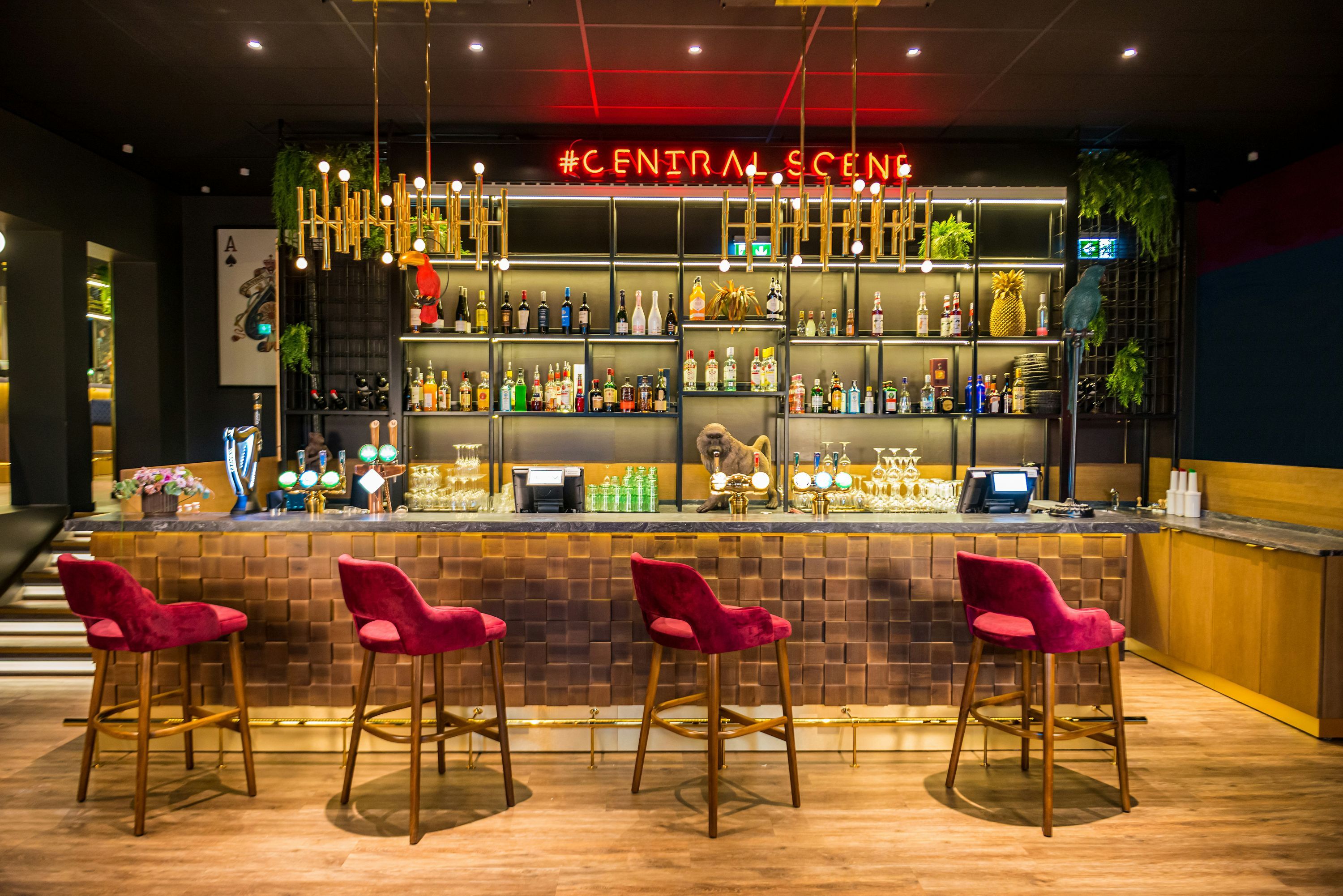 Bar Photo