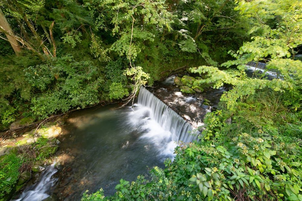 Outdoor view