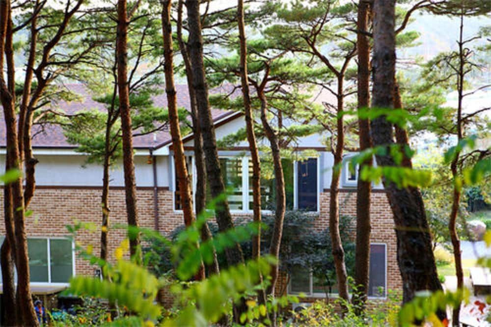 Outdoor view