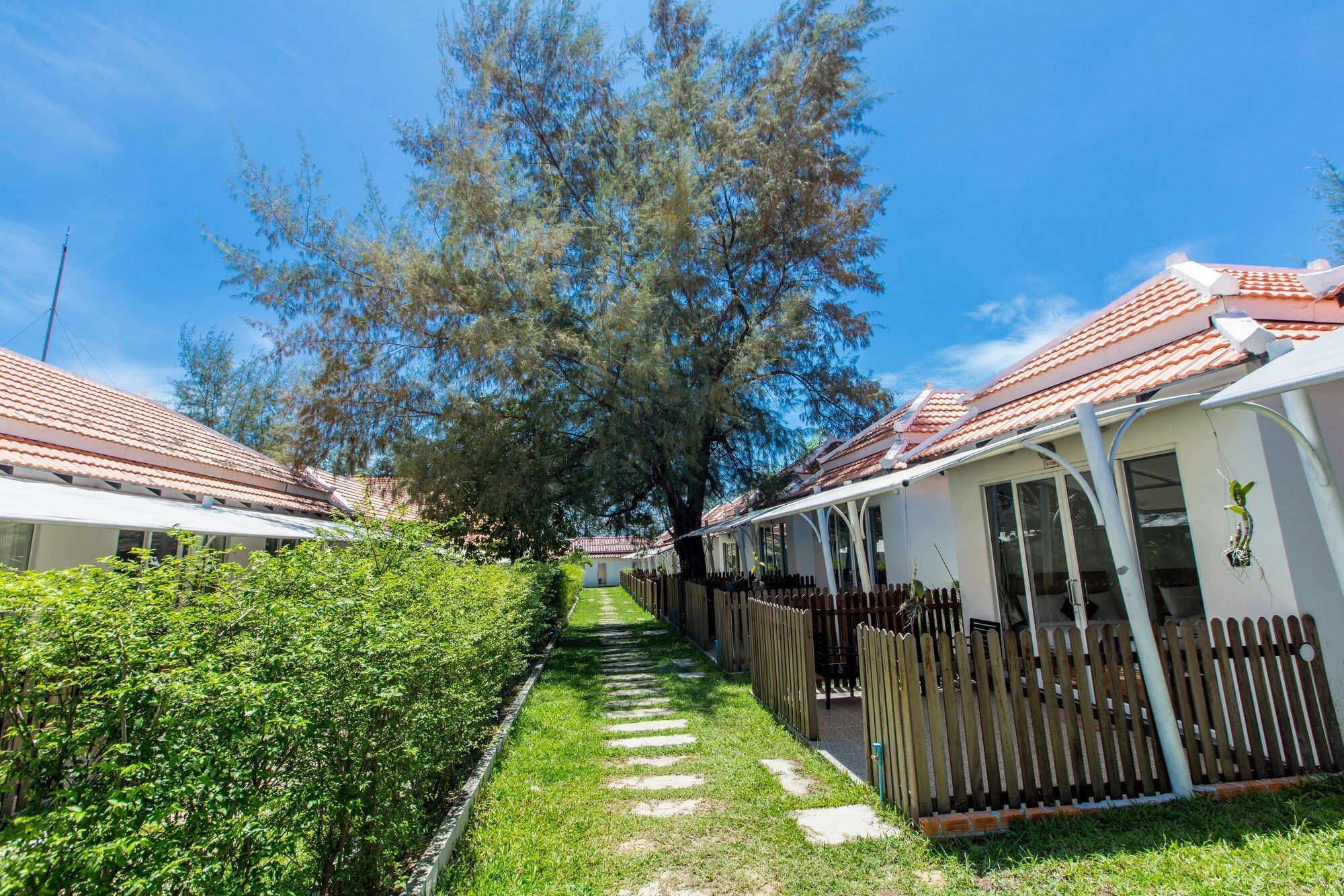 Outdoor view