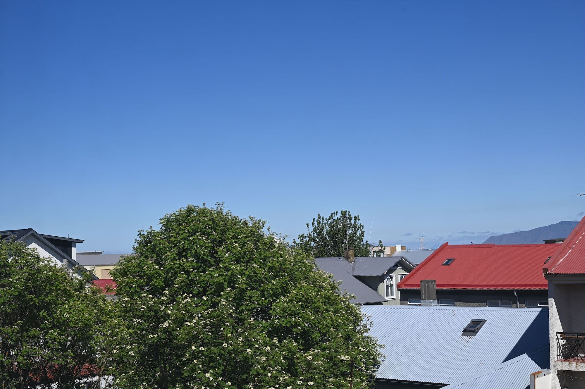 Outdoor view