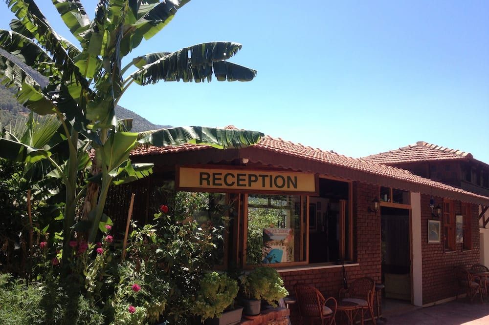 Outdoor view