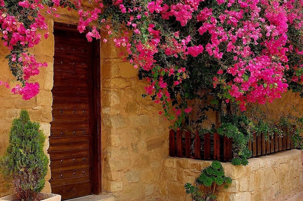 Outdoor view