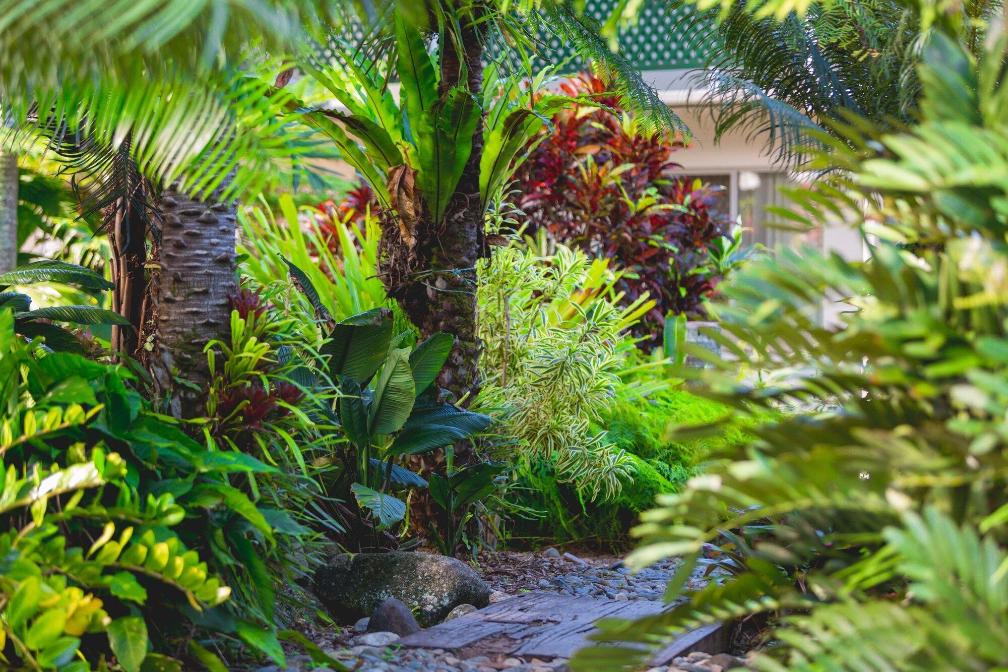 Outdoor view