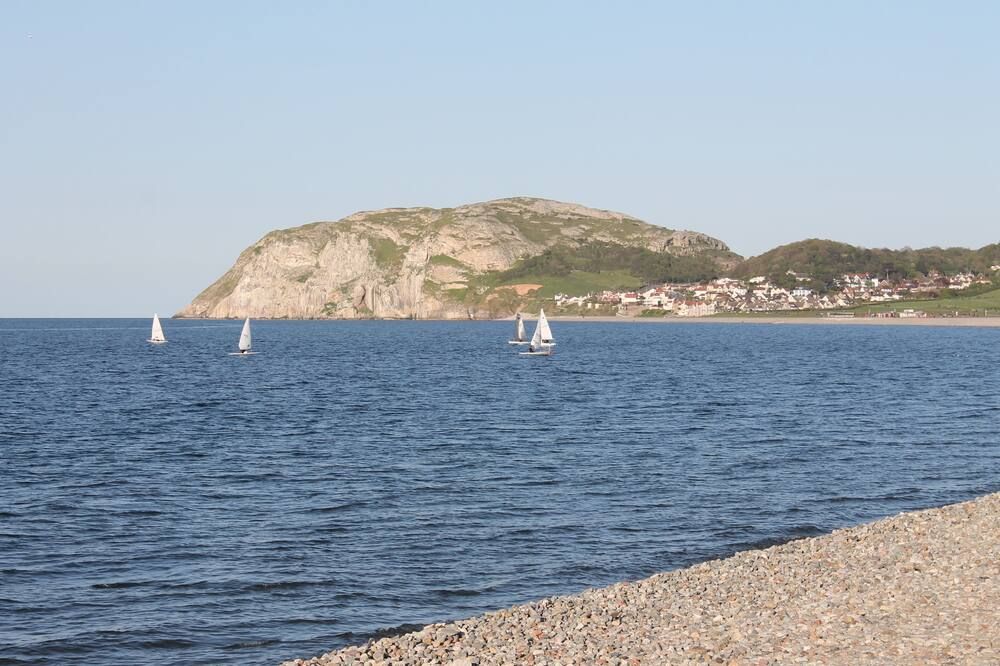 Other Photo