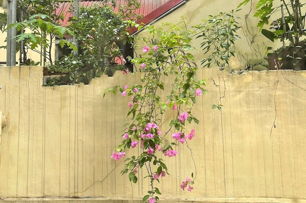Outdoor view