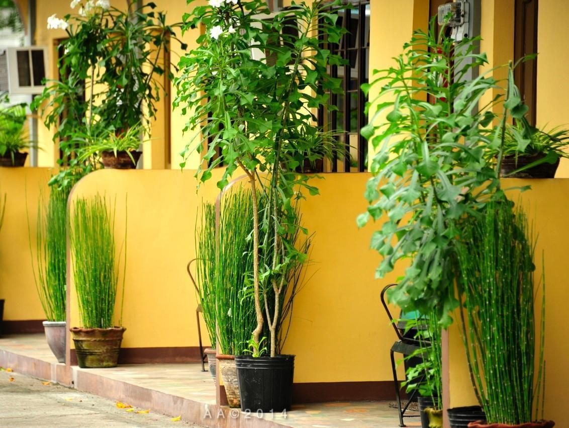 Outdoor view
