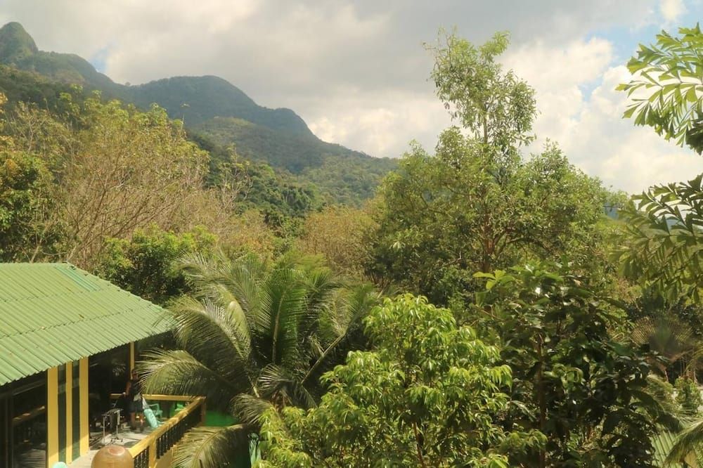 Outdoor view