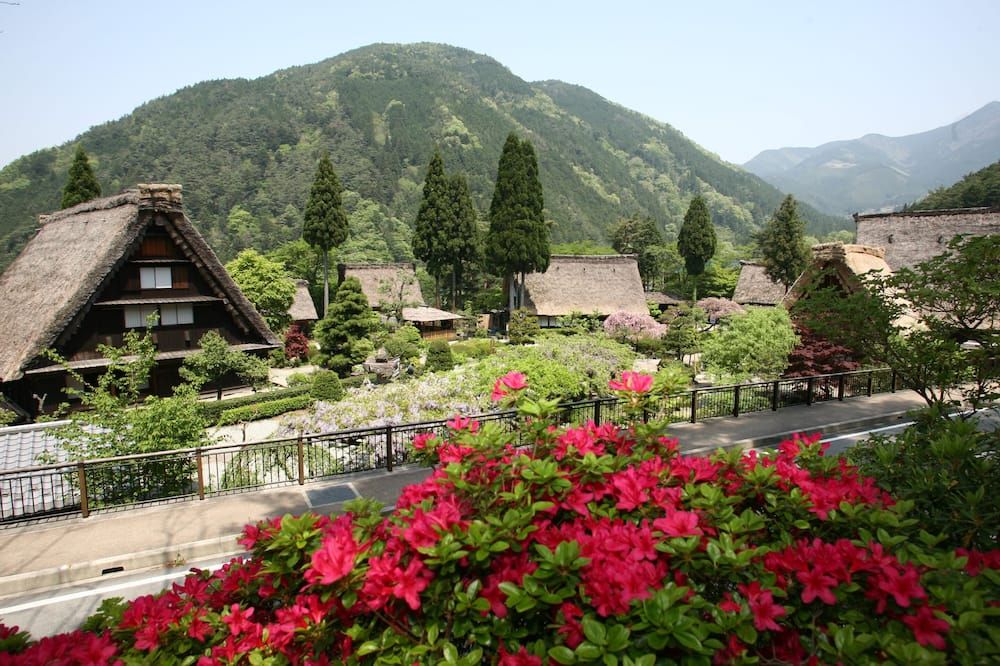 Outdoor view