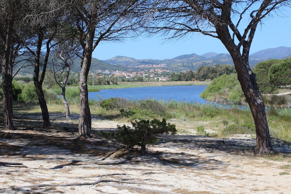 Outdoor view