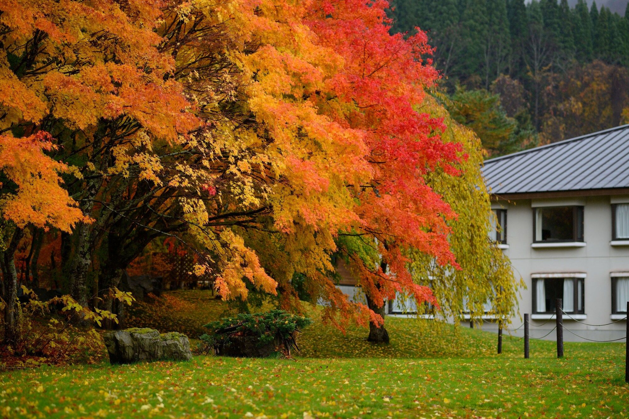 Outdoor view