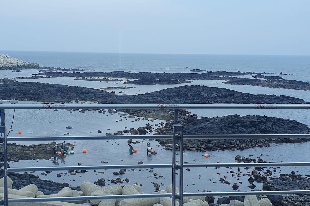 Other