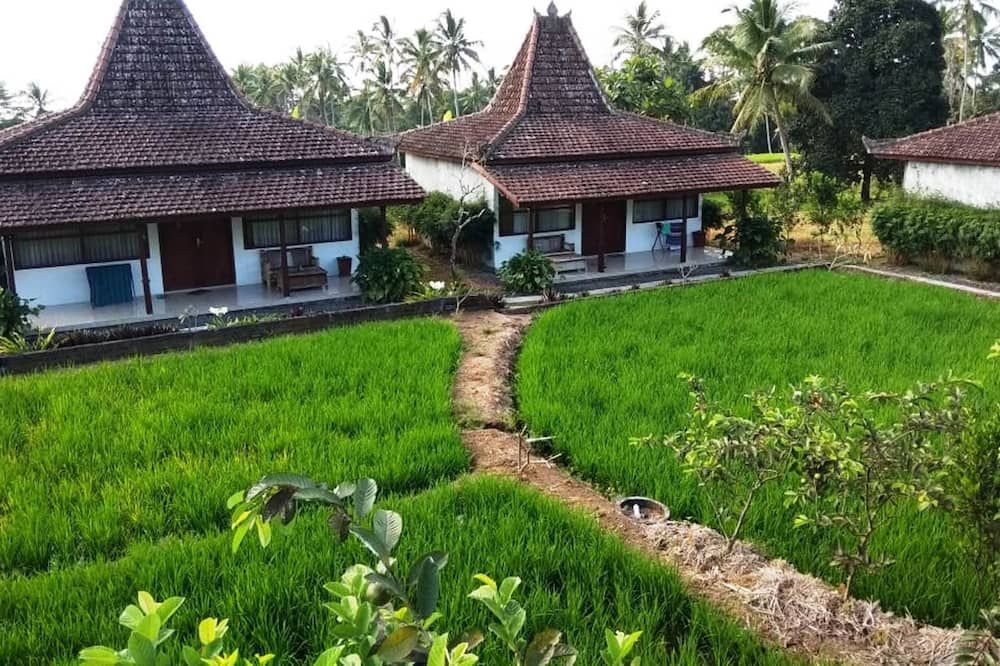 Outdoor view