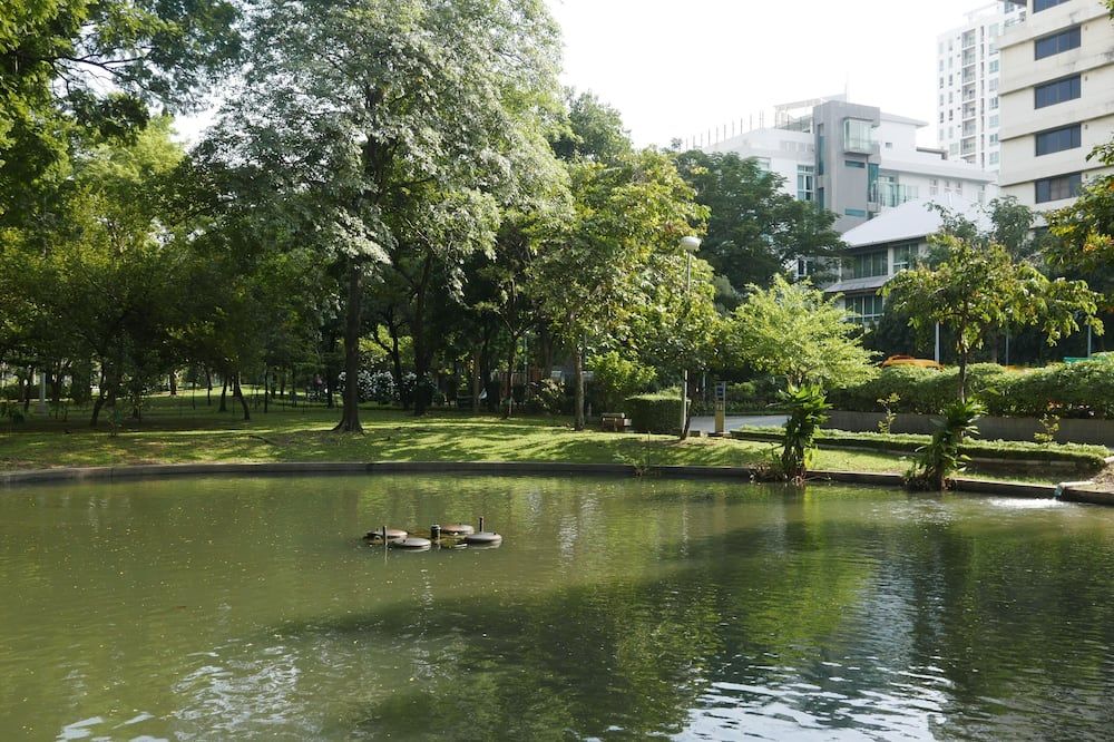 Outdoor view