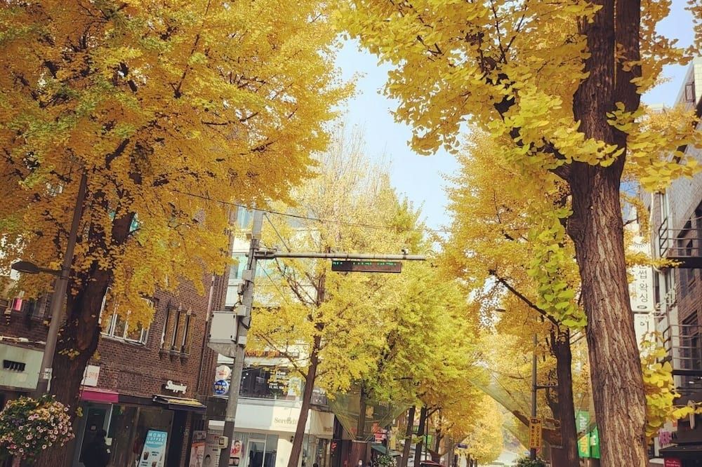 Outdoor view