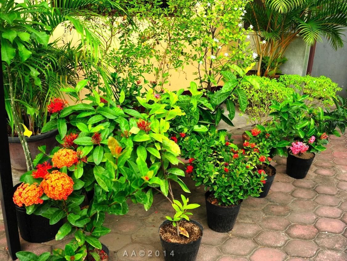 Outdoor view